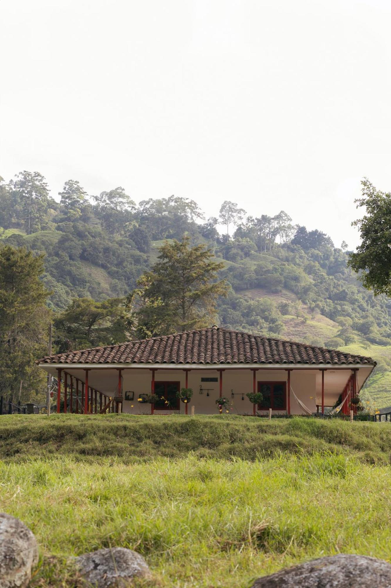 La Cabaña Ecohotel - Valle del Cocora Salento Exterior foto