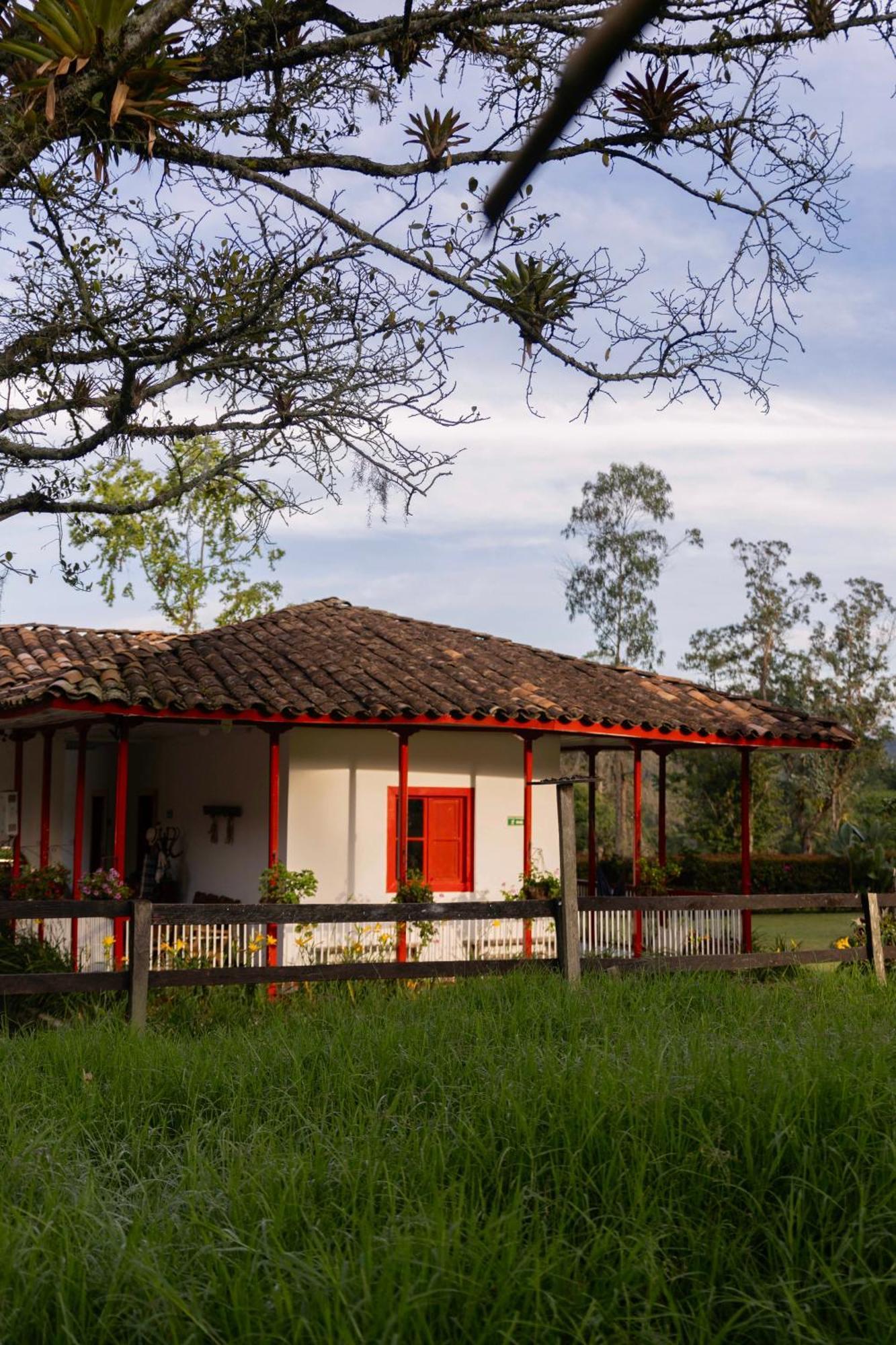 La Cabaña Ecohotel - Valle del Cocora Salento Exterior foto